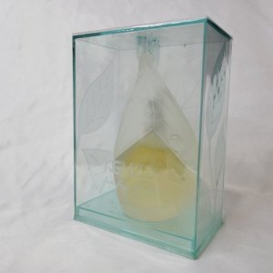 Kenzo Parfum D'Ete vintage 1.7 oz EDT for women